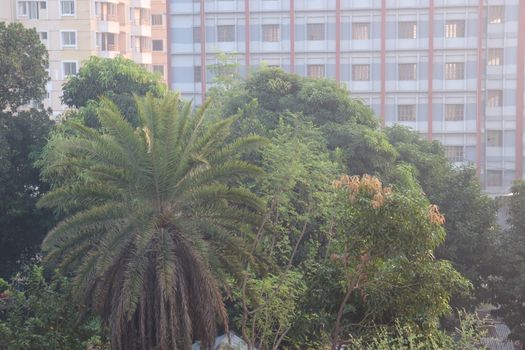 apartment building view for living on city