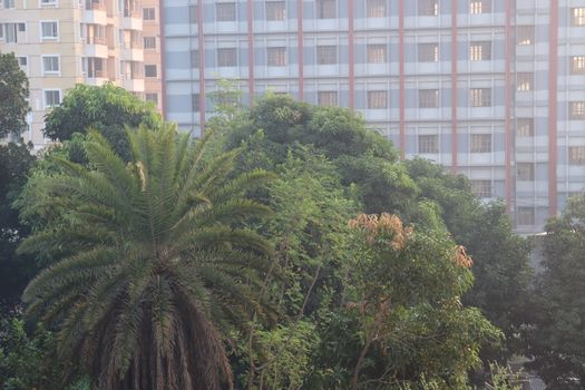 apartment building view for living on city