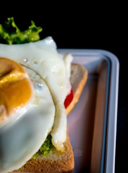 Fried egg and vegetable on sandwich bread