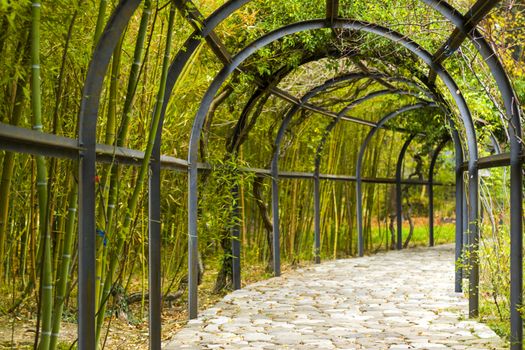 Natural tunnel in the park, green colors plant and iron fence, Georgia