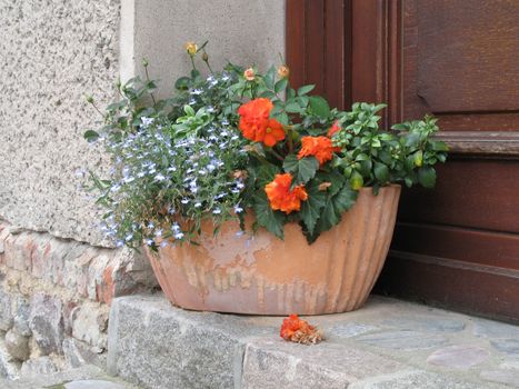 Flower pot with various flowers and plants on a step.