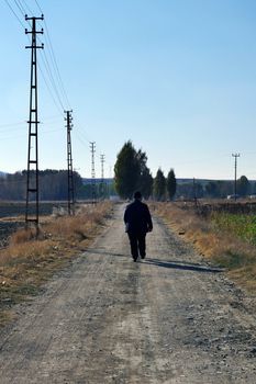 a person walking on the road in nature, a person walking in the fall season,