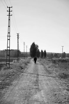 a person walking on the road in nature, a person walking in the fall season,