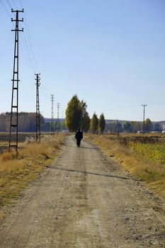 a person walking on the road in nature, a person walking in the fall season,