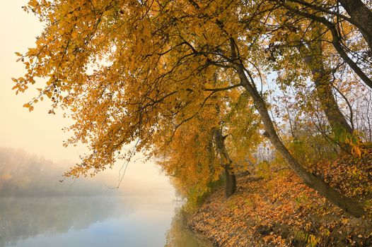 November Foggy and Sunny Day on Siret river in Romania