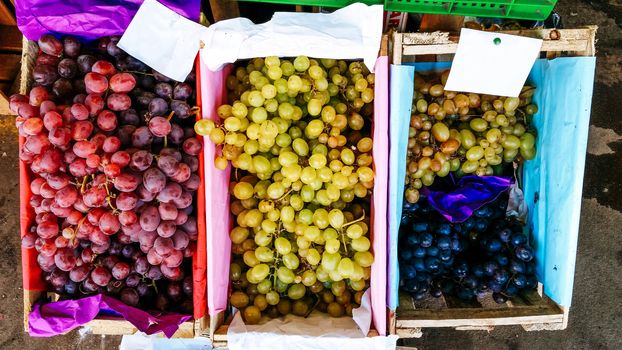 Grapes of different colors in wooden boxes in sunlight