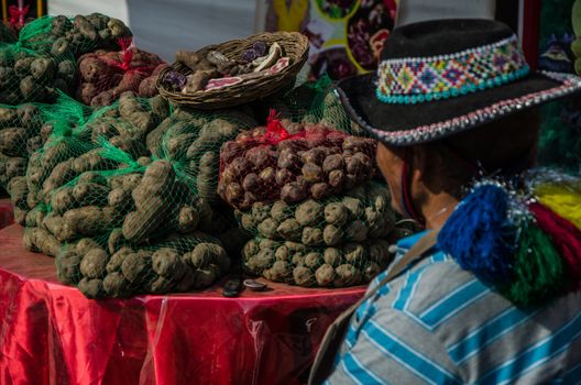 Seller seeing his small potatoes called: Native potatoes, in Lima - Peru
