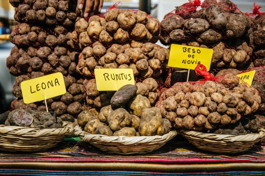 Peruvian cuisine: potatoes of different varieties such as potato leona, potato runtus and potato velo de novia