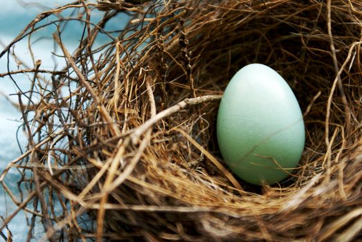 A closeup view of the inside look of a comman red robins nest with an unhatched egg resting within the sticks and mudd.