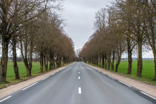 Asphalt wavy road in autumn misty countryside landscape in Latvia