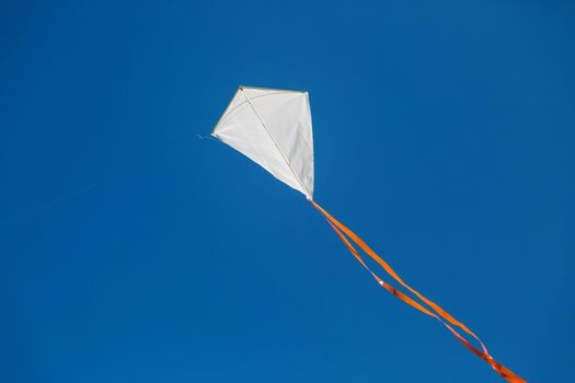 White red tailed kite flying against blue clear sky.