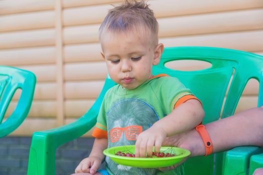 Grandma's hand holds a green plate with freshly picked red currants and treats her grandson