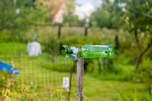 Homemade repeller from moles in the garden. A plastic bottle on a wooden rod spins from the wind creating vibrations and with its noise scares the animals crawling under the ground. Smart gardening.