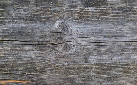 Texture of old wood plank with signs of natural aging.Natural wood texture for background. Copy space, banner