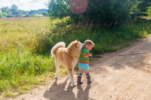Little Boy and Akito Inu Dog on a Country Country Road