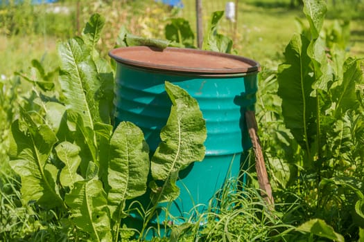 Old green rusty iron barrel used to incinerate garbage in a suburban garden plot.