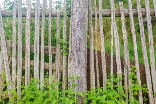 Old rickety wooden fence made of narrow boards in front of village house.