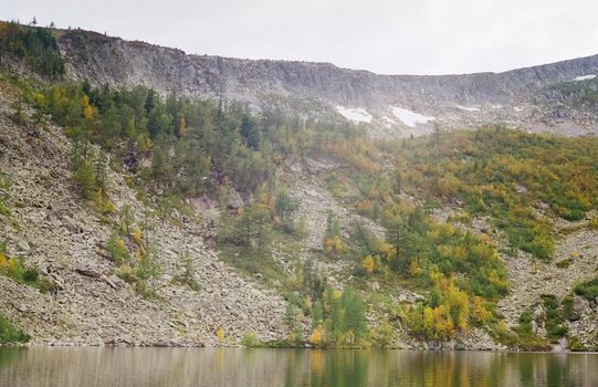 Autumn nature of the altai, forests and mountains.