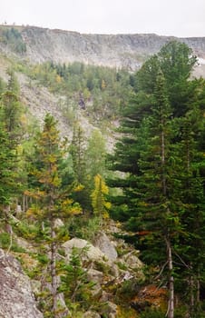 Autumn nature of the altai, forests and mountains.