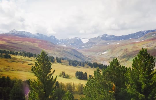 Autumn nature of the altai, forests and mountains.