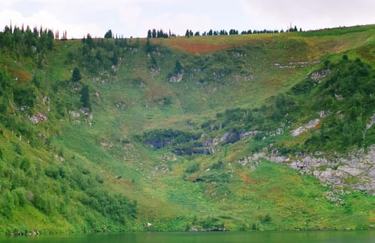 Landscape of the altai forests. Coniferous forests on the Altai.