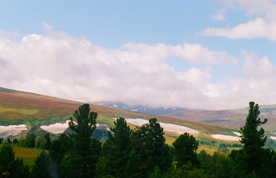 Landscape of the altai forests. Coniferous forests on the Altai.