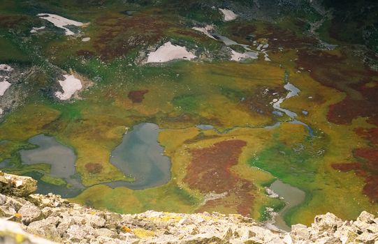 Nature is altai in spring. Melted snow in the mountains.