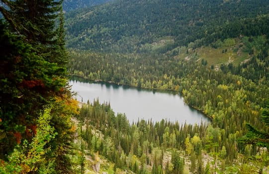 The river is among the mountains and forests of the Altai. Nature of the Altai