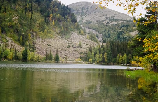The river is among the mountains and forests of the Altai. Nature of the Altai