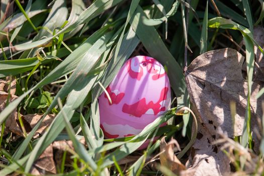 Bright pink camouflage Easter egg hidden in green grass and brown leaves . High quality photo