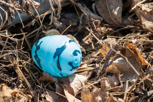 Bright blue camouflage Easter egg hidden in brown leaves . High quality photo