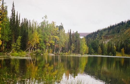 The river is among the mountains and forests of the Altai. Nature of the Altai