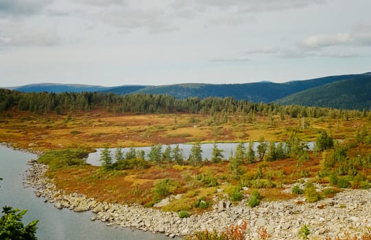 The river is among the mountains and forests of the Altai. Nature of the Altai