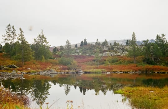 The river is among the mountains and forests of the Altai. Nature of the Altai