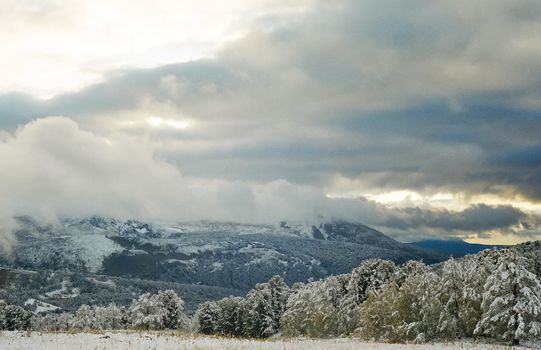 Winter Altai, mountains and forests in the snow. Winter came to the Altai and snow fell.