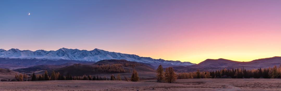 Beautiful panorama of a valley full of trees and white snowy mountains in the background. Sky is blue, orange, pink, and purple. Blue hour. Fall time. Sunset. Altai mountains, Russia.