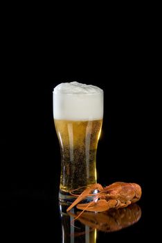 Glass of bier and crawfish on a glass background