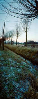 vertical panorama of riverbank with trees in winter in blue light of dawn with a small coverage of snow between the grass