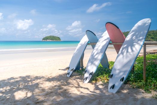 Many surfboards for rent  at summer beach with sunlight  blue sky background. 