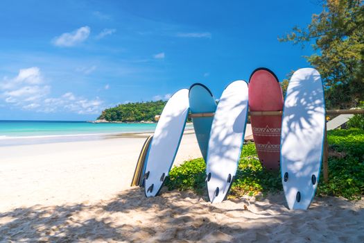 Many surfboards for rent  at summer beach with sunlight  blue sky background. 