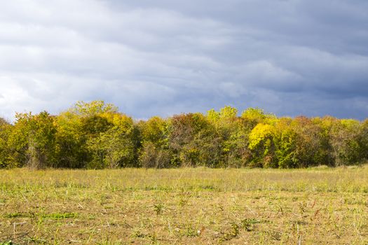 Autumn and fall landscape and view in Kakheti, Georgia