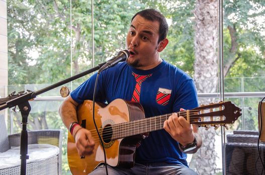 Handsome young musician playing the guitar and singing