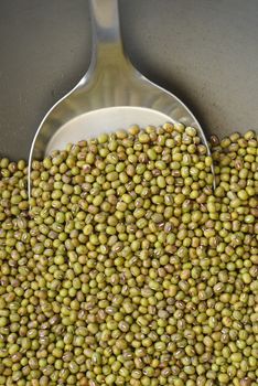 Lots of green beans on a spatula and an iron pan Roasting