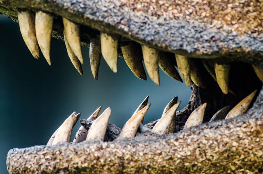 Close-up of a crocodile's teeth, terrifying photograph