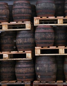 Rows of pallets with staked old grunge vintage dark oak wood barrels of craft beer at warehouse of brewery