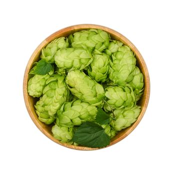 Close up one wooden bowl of fresh green hops isolated on white background, elevated top view, directly above