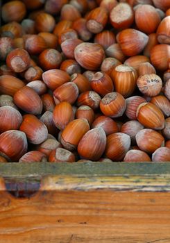 Close up whole big brown filbert hazelnuts with shell in wooden box on retail display of open market, high angle view