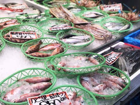 Fresh fish and seafood in fresh market in Tomari Fish Market in Japan