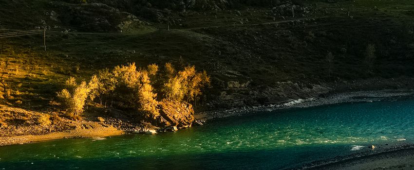 The mountain river flows over the rocks. The rivers are altai. Nature is altai.