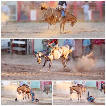 Collage of images of bucking broncos riding competition at a country rodeo